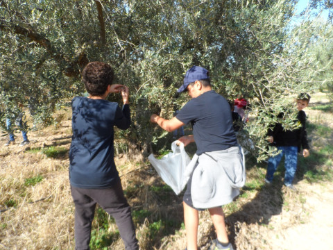 Nos CM2 à la découverte du Domaine Boussetta